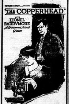 The Copperhead (1920) afişi