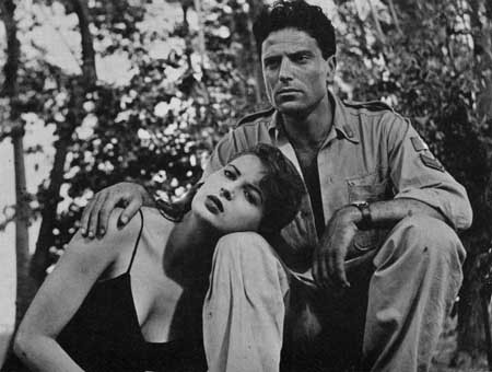 Acı Pirinç Fotoğrafı