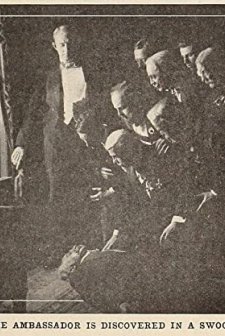 Adventures In Diplomacy (1914) afişi