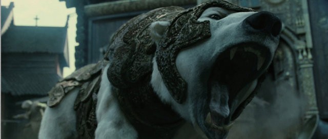 Altın Pusula fotoğrafı