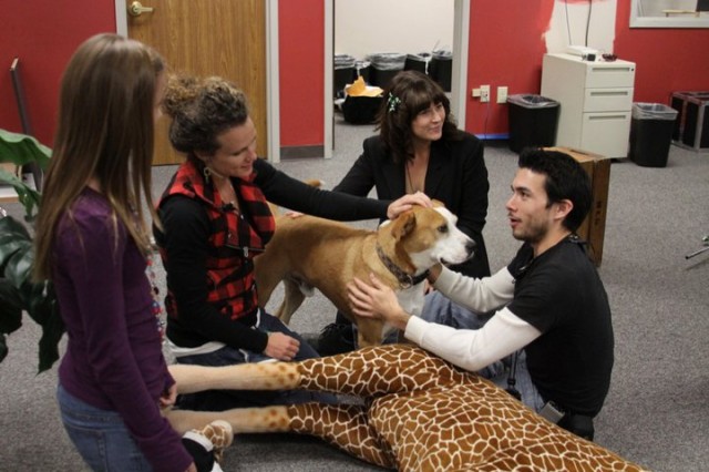 The Lamp Fotoğrafı