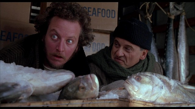 Evde Tek Başına 2 Fotoğrafı