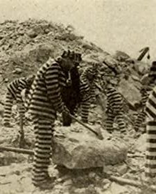 The Adventures Of Lieutenant Petrosino (1912) afişi