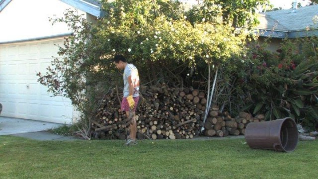 The Wife Master Fotoğrafı