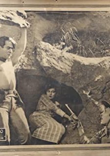 The Wild Rider (1919) afişi