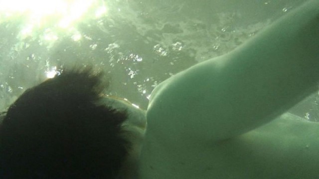 Planet Of Snail Fotoğrafı