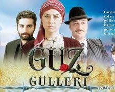 Güz Gülleri (2011) afişi