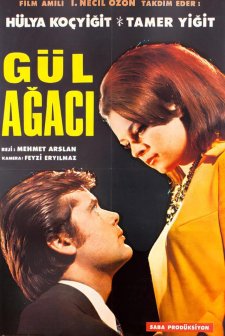 Gül Ağacı (1967) afişi