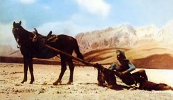 Trinity ıs Still My Name fotoğrafı