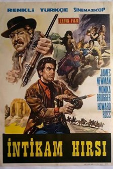 Wanted Johnny Texas (1967) afişi