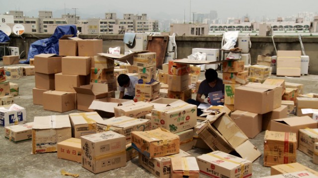 Nice Shorts! 2011 Fotoğrafı