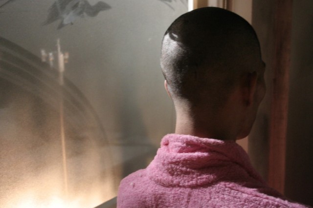 Nice Shorts! 2011 Fotoğrafı