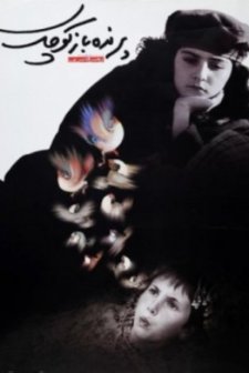 Küçük Kuş (2002) afişi