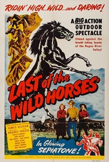 Last Of The Wild Horses (1948) afişi