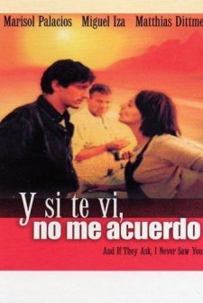 Y Si Te Vi, No Me Acuerdo (1999) afişi