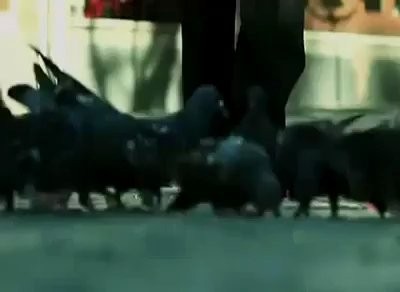 Yüzüklerin Beyefendisi fotoğrafı