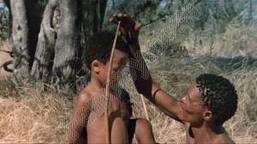 Tanrılar Çıldırmış Olmalı Fotoğrafı