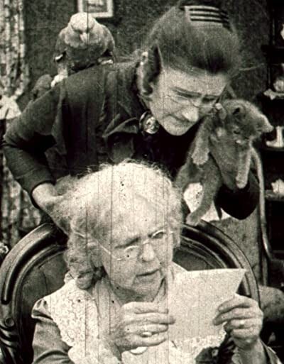 The Topsy Turvy Twins (1917) afişi