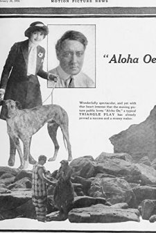 Aloha Oe (1915) afişi