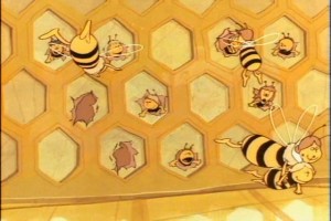 Arı Maya Fotoğrafı