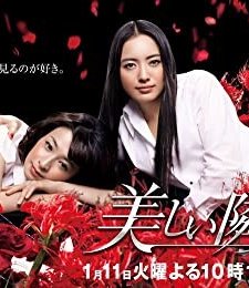 Güzel Komşu - The Beautiful Neighbor (2011) afişi