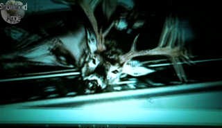 Halka(lar) Fotoğrafı