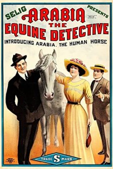 Arabia: The Equine Detective (1913) afişi