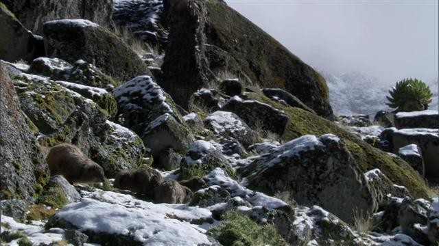 Büyük Rift Vadisi Fotoğrafı