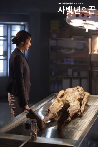 Sabaeknyeonui Kkum fotoğrafı