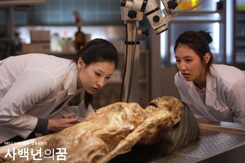 Dream Of Four Hundred Years Fotoğrafı