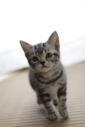 Kimi To Boku fotoğrafı