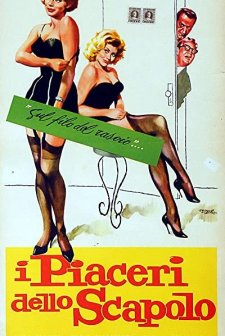 ı Piaceri Dello Scapolo (1960) afişi