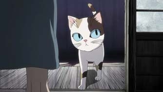 House Of Five Leaves Fotoğrafı