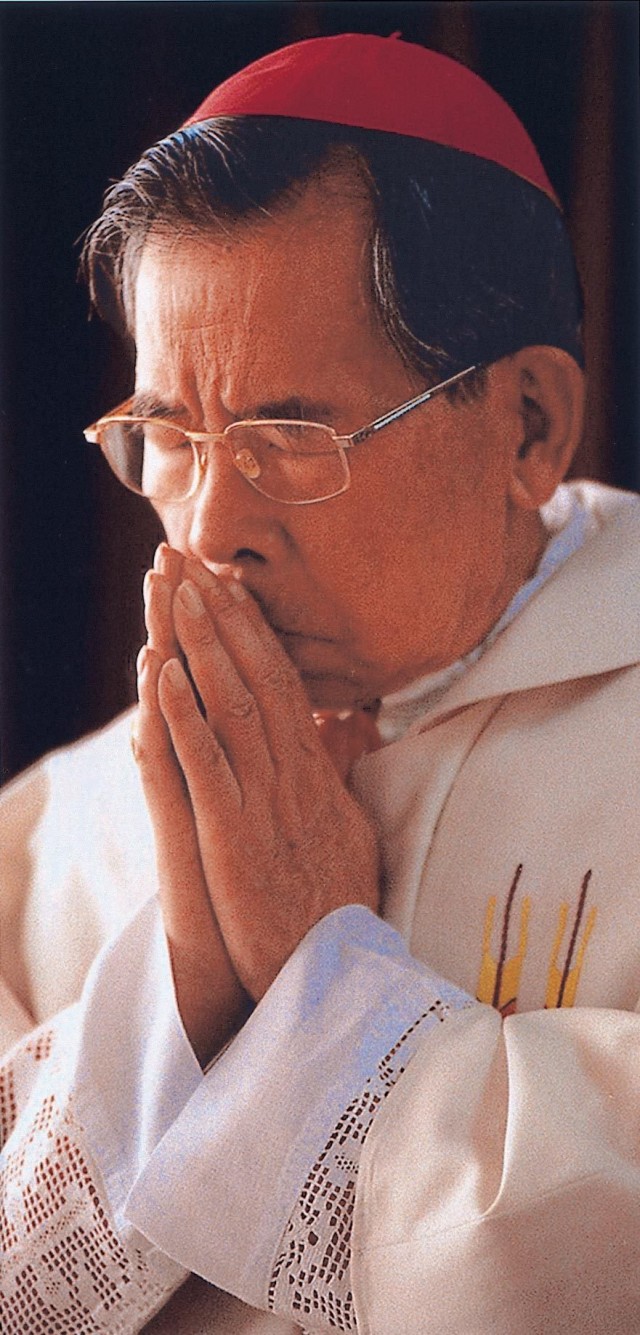 You Fool Fotoğrafı