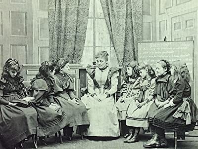 The Story Of The Olive