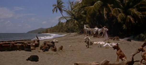 İsviçreli Robinson Ailesi fotoğrafı