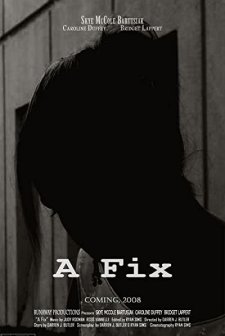 A Fix (2008) afişi