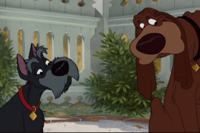 Leydi ile Sokak Köpeği Fotoğrafı