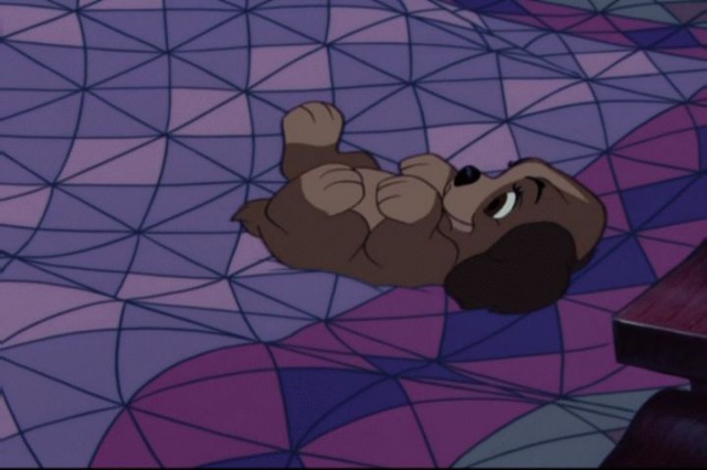 Leydi ile Sokak Köpeği Fotoğrafı