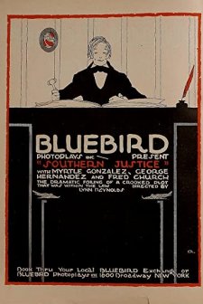 Southern Justice (1917) afişi