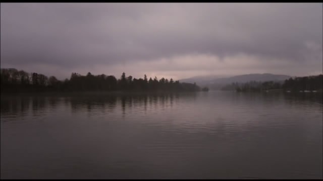 The Trip fotoğrafı