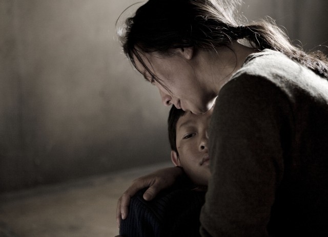 Winter Butterfly fotoğrafı