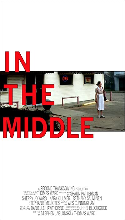 ın The Middle (2010) afişi