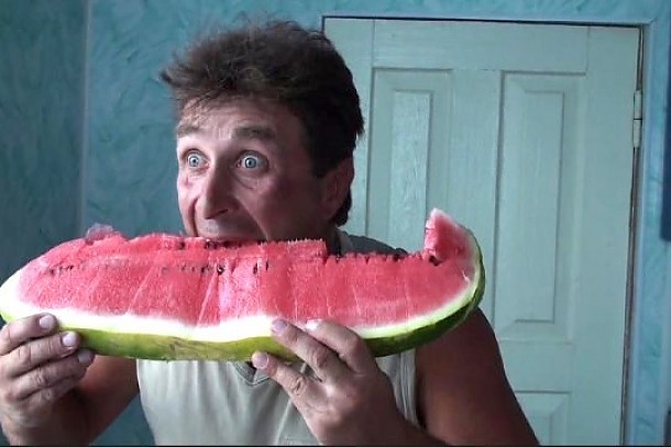 Life in a Day Fotoğrafı