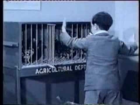 School For Randle Fotoğrafı