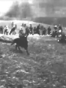 Battle Of Mafeking (1900) afişi