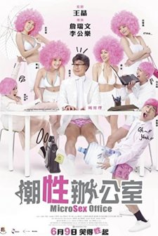 Microsex Office (2011) afişi