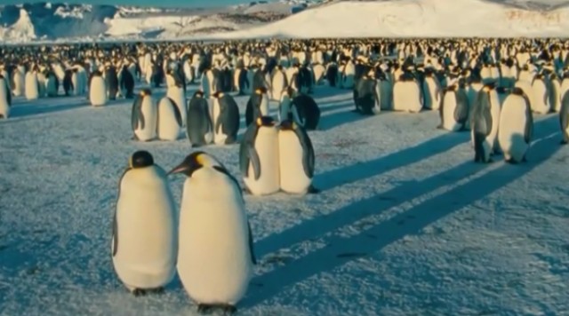 İmparatorun Yolculuğu Fotoğrafı