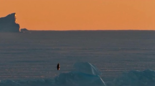 İmparatorun Yolculuğu fotoğrafı