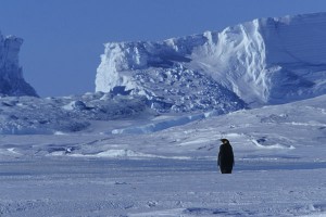 İmparatorun Yolculuğu Fotoğrafı